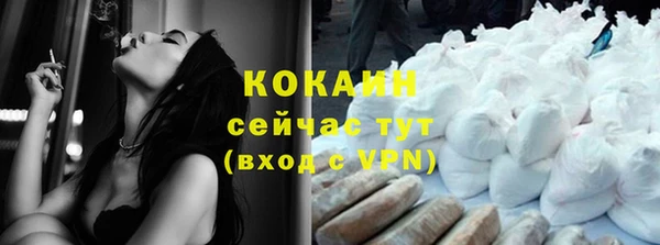 бошки Белокуриха