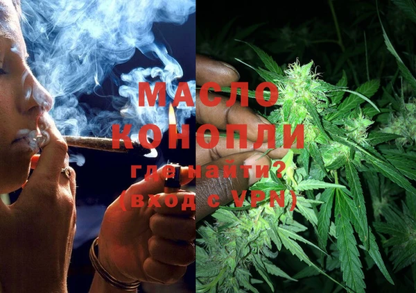 ECSTASY Богданович