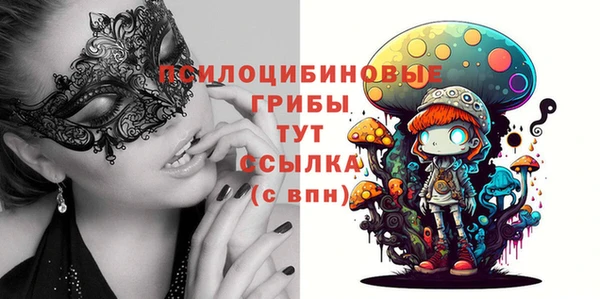 ECSTASY Богданович