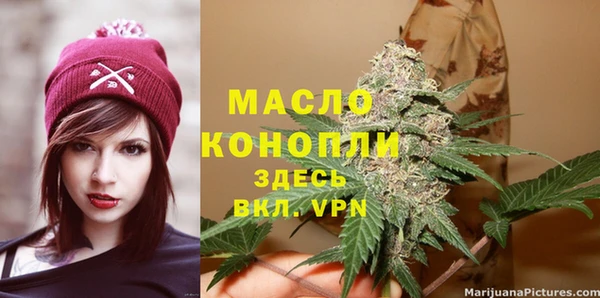 ECSTASY Богданович