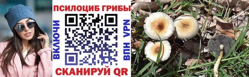 где можно купить   Горячий Ключ  Галлюциногенные грибы мицелий 